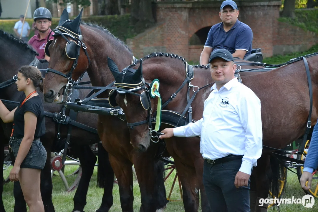 Rokosowo Horse Show 20224 - Konie i Powozy na Zamku Wielkopolskim w Rokosowie