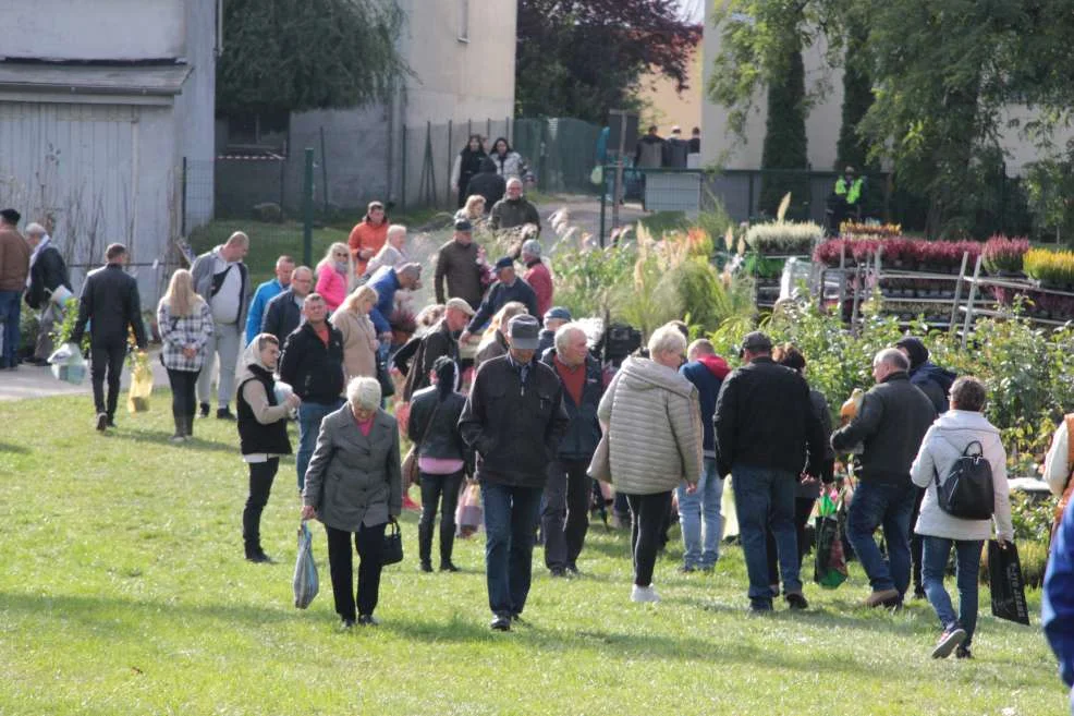 Wyróżnienie dla KGW w Witaszyczkach na targach w Marszewie