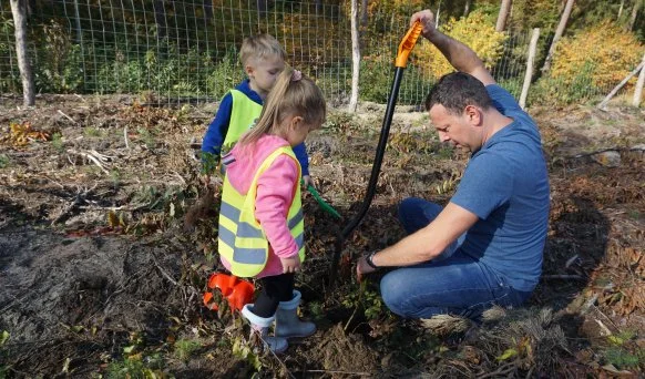 Gmina Zduny. Posadzili las samorządowy