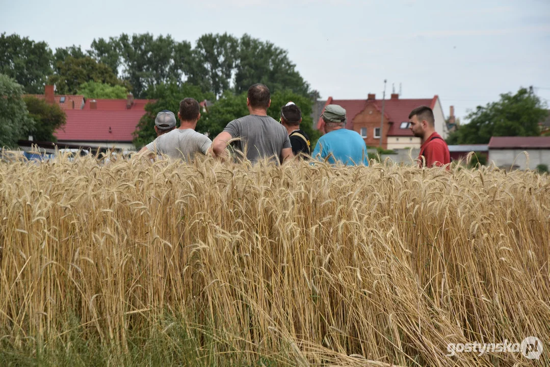 Pożar zboża w Poniecu i Kuczynie