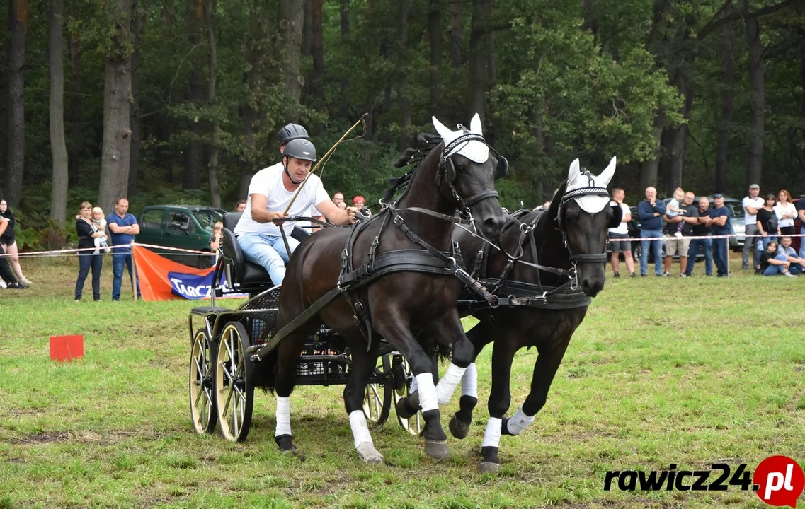 polecany artykuł