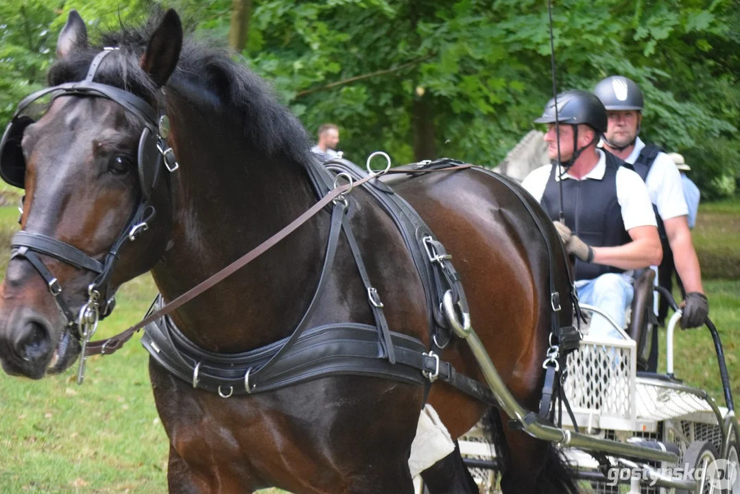 Rokosowo Horse Show 2024 - dzień pierwszy