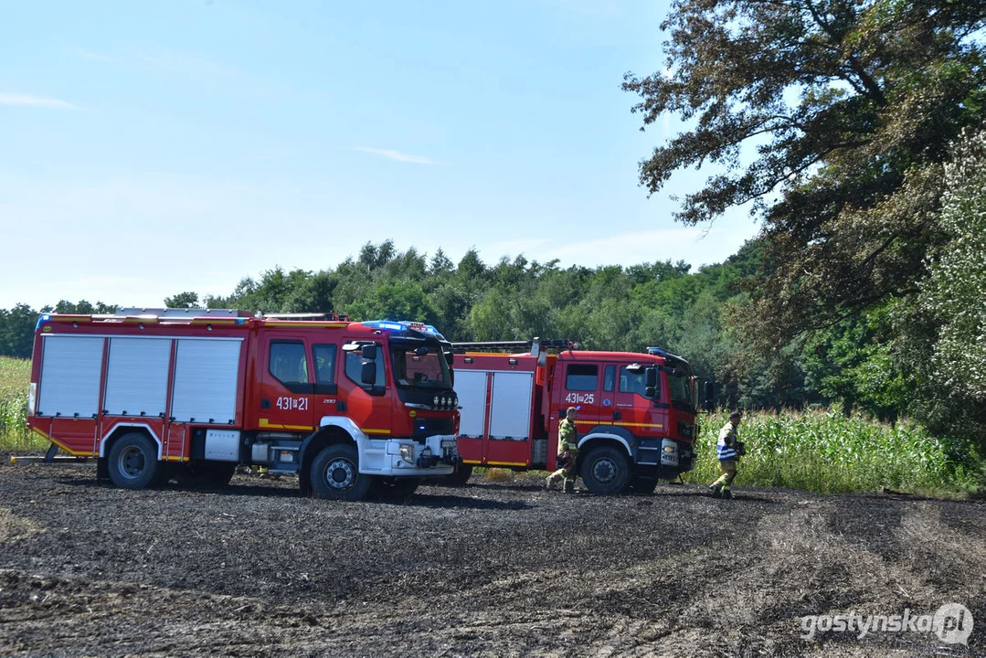 Pożar zboża w Osowie (gm. Gostyń)