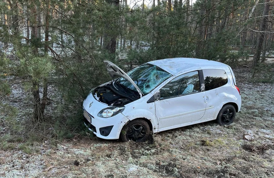 Auto wypadło z drogi w gminie Gizałki. Interweniowała straż i zespół ratownictwa medycznego [ZDJĘCIA] - Zdjęcie główne