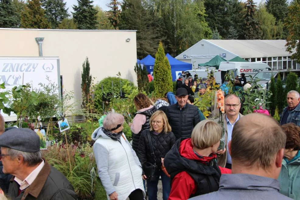 Wyróżnienie dla KGW w Witaszyczkach na targach w Marszewie