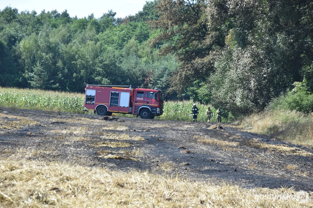 Pożar zboża w Osowie (gm. Gostyń)