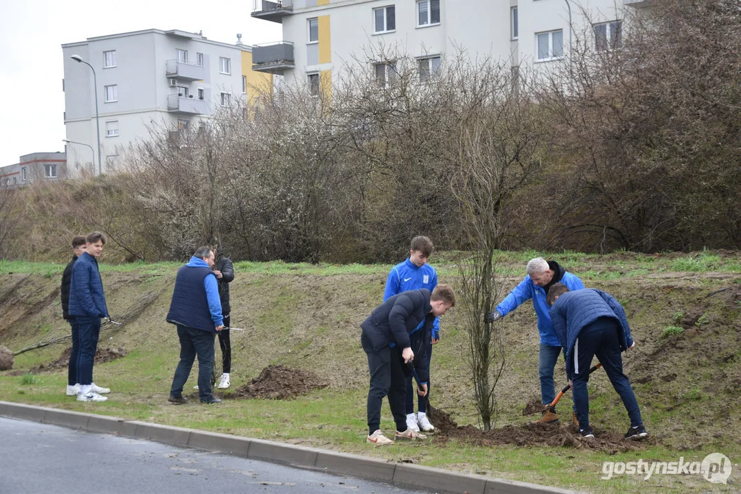 Sadzenie drzewek na 100-lecie Kani Gostyń