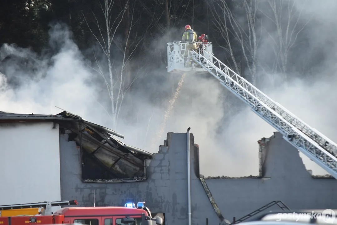 Pożar na stacji demontażu pojazdów w Śmiłowie