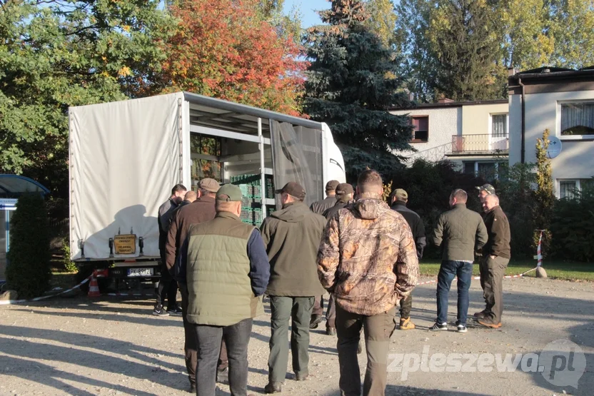 Wypuścili kuropatwy na terenie powiatu pleszewskiego