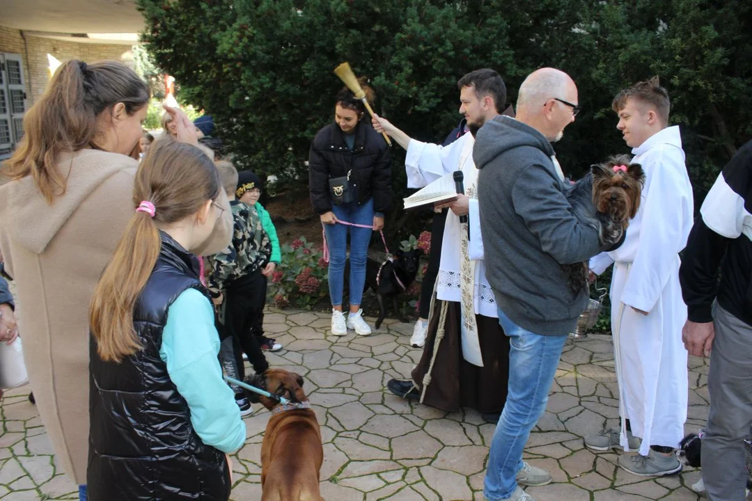 Franciszkanie w Jarocinie. Odpust św. Franciszka z Asyżu