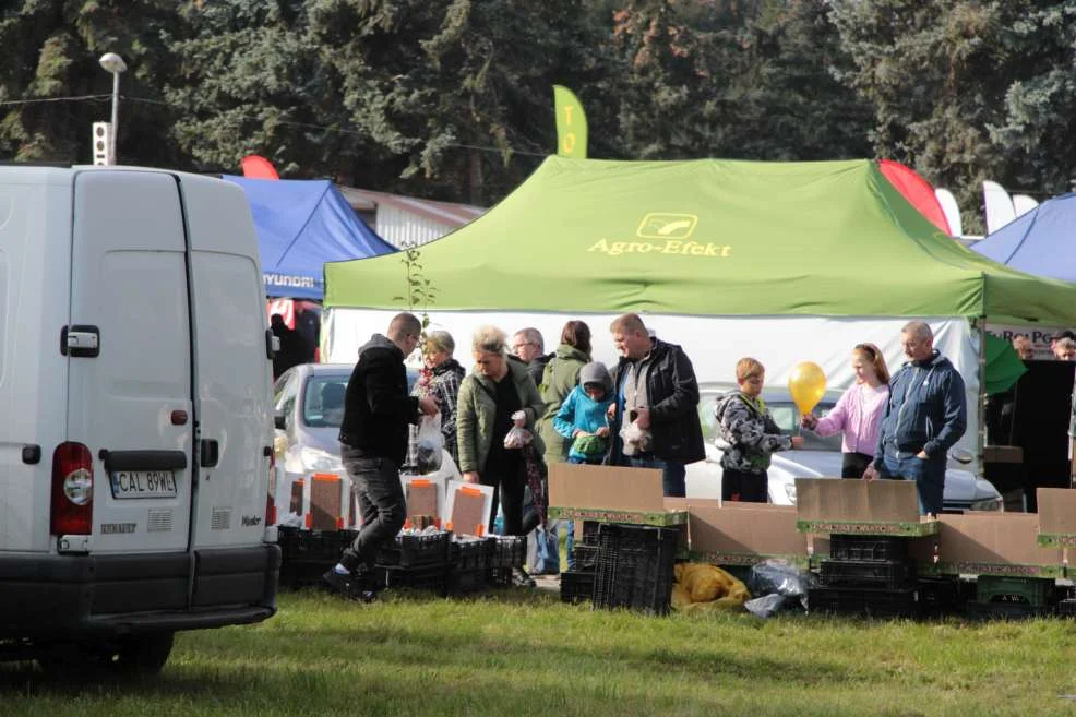 Wyróżnienie dla KGW w Witaszyczkach na targach w Marszewie