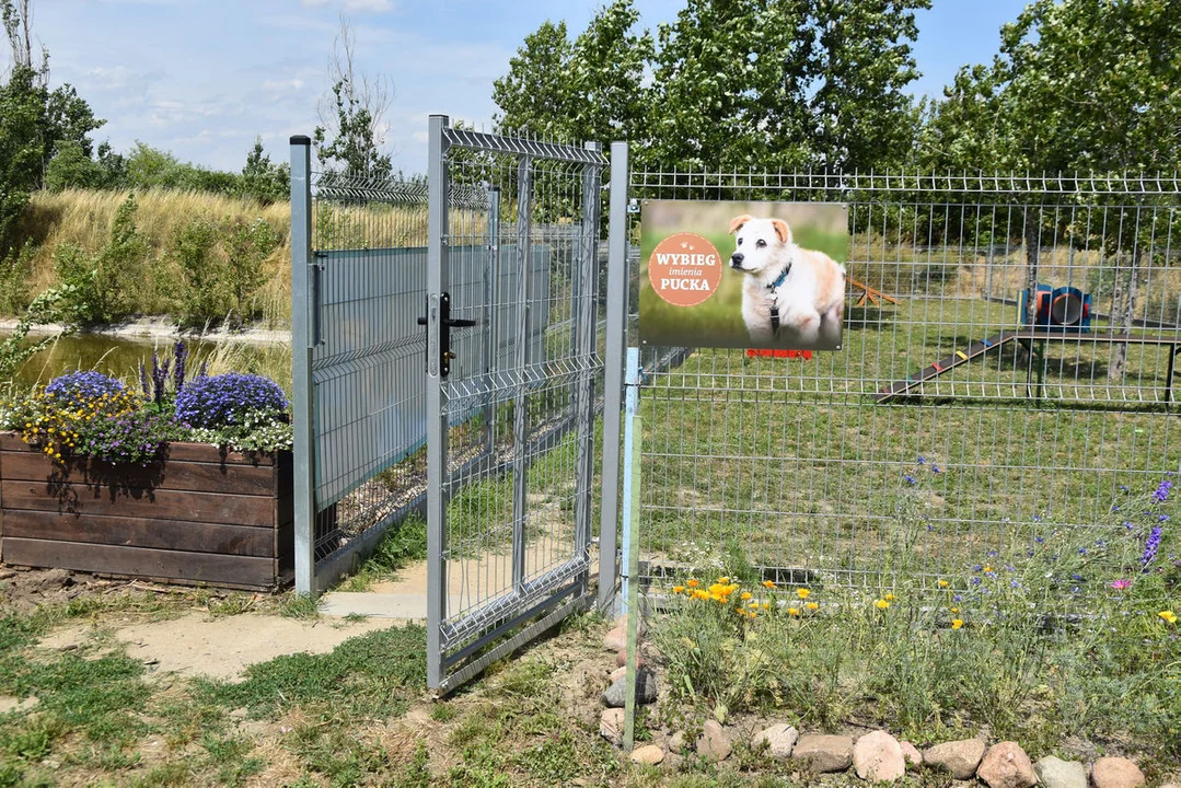 Schronisko dla Zwierząt w Dalabuszkach (gm. Gostyń) ma nowy wybieg dla psów