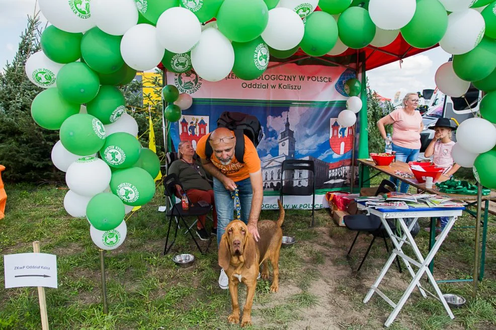 Święto Darów Natury 2023 w Jarocinie