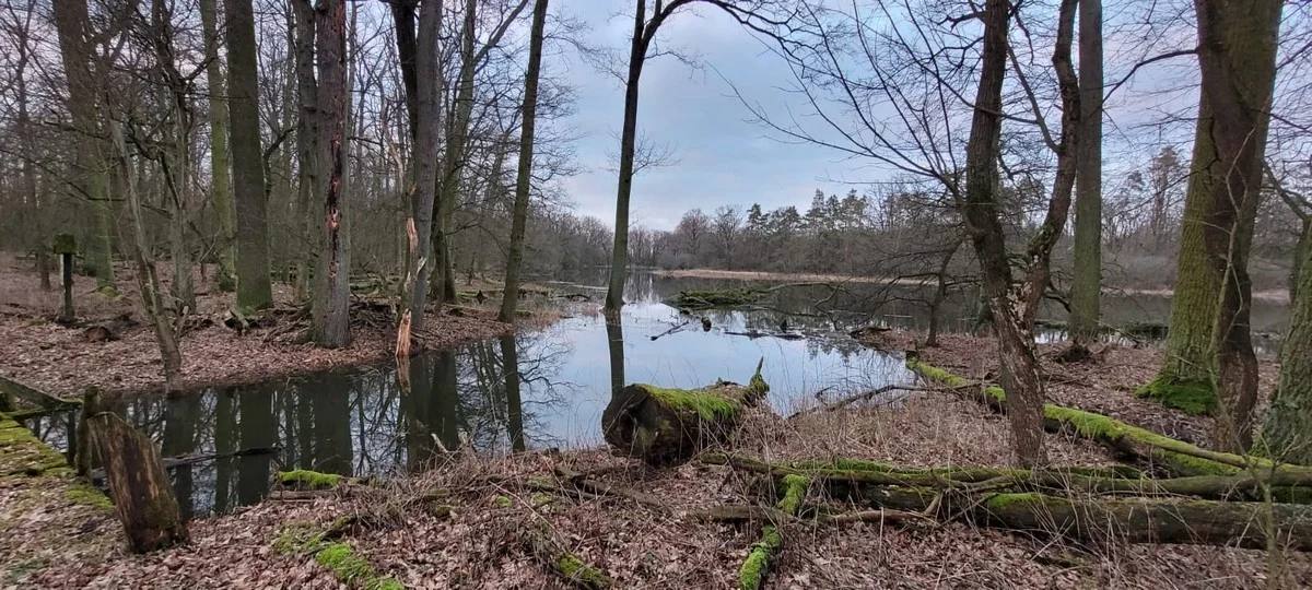 Tereny Żerkowsko-Czeszewskiego Parku Krajobrazowego