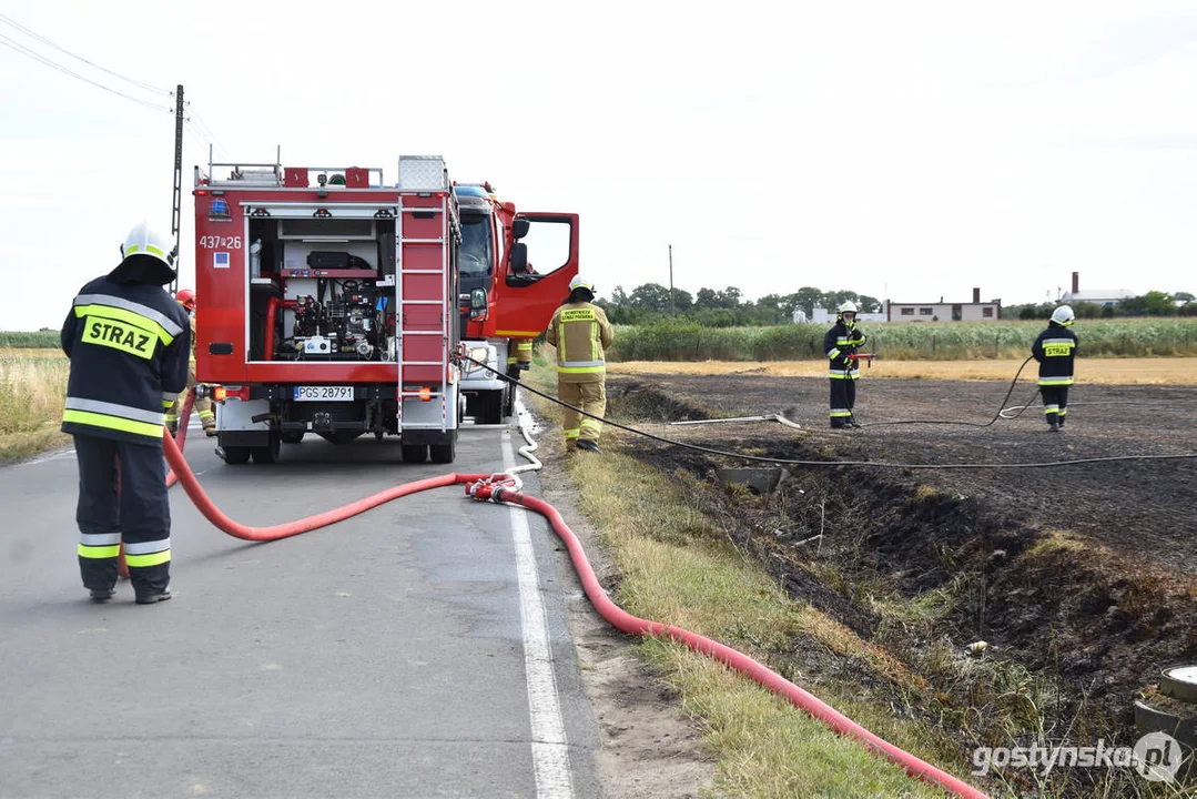 Pożar ścierniska w Daleszynie