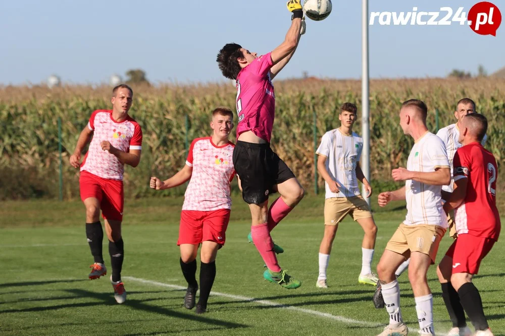 Awdaniec Pakosław - Wisła Borek Wielkopolski 2:5