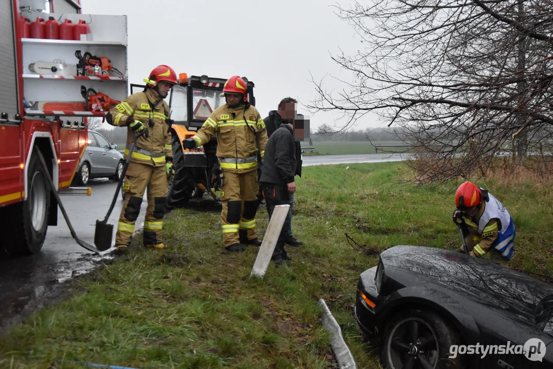 Mustang wpadł do stawu. Straż pożarna z Gostynia w akcji