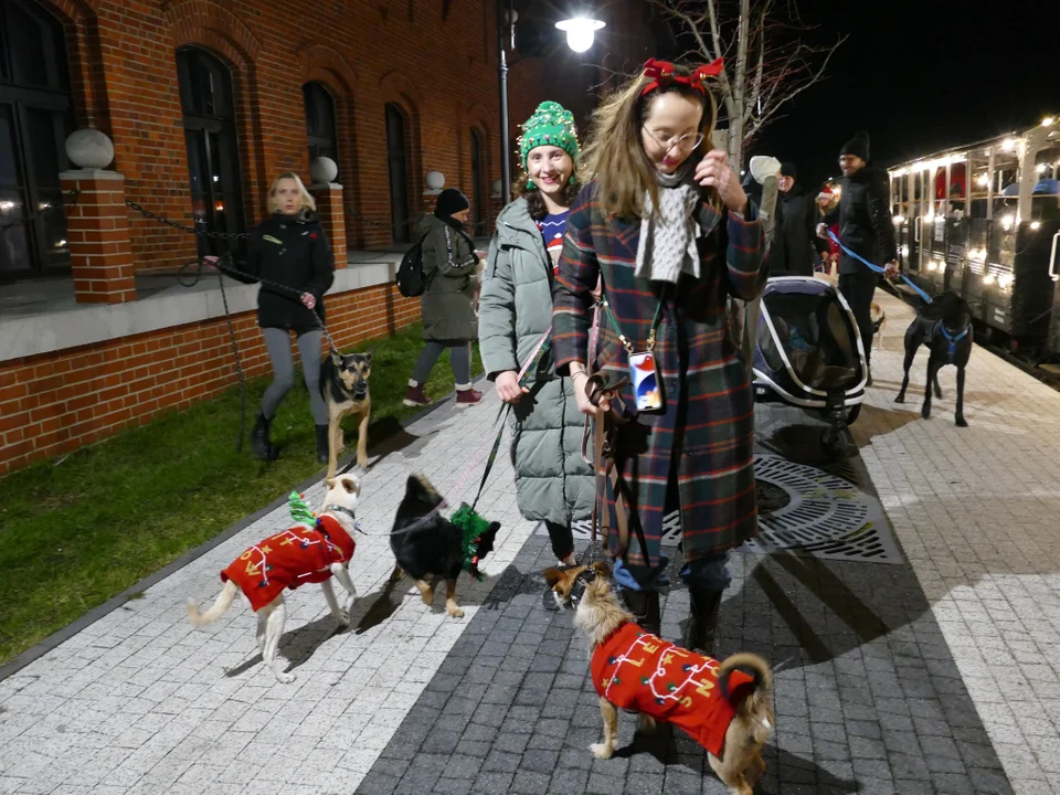 Świąteczne przejazdy kolejką w Pleszewie