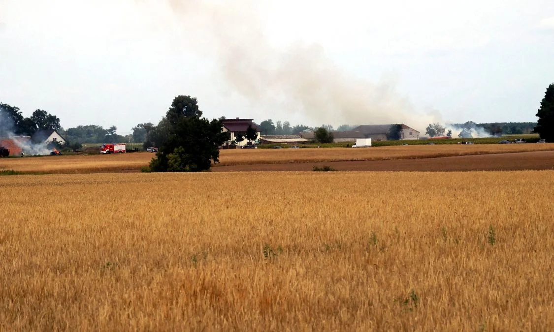 Pożar w Żernikach. Dym widać z kilkunastu kilometrów