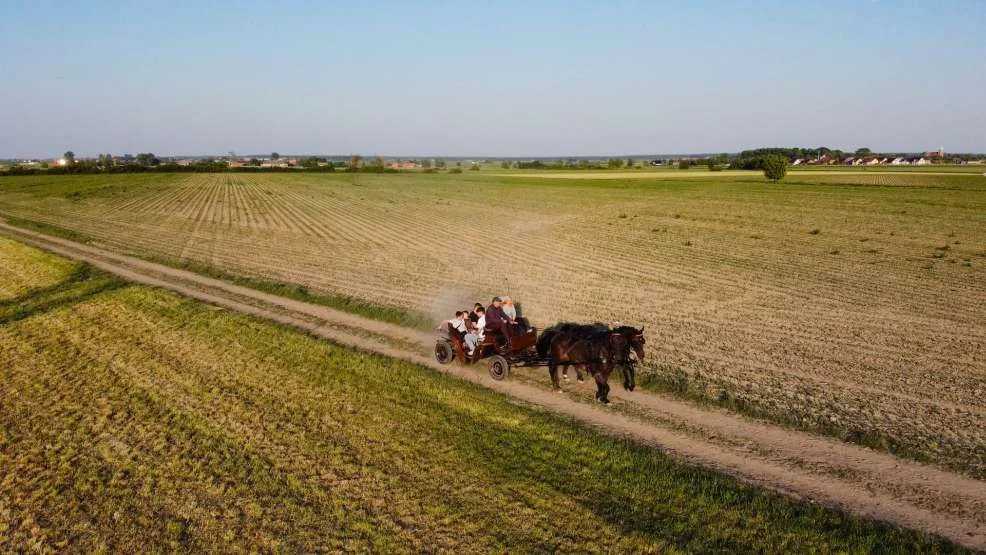 Dzień Dziecka w Stajni Papillon w Rozdrażewie