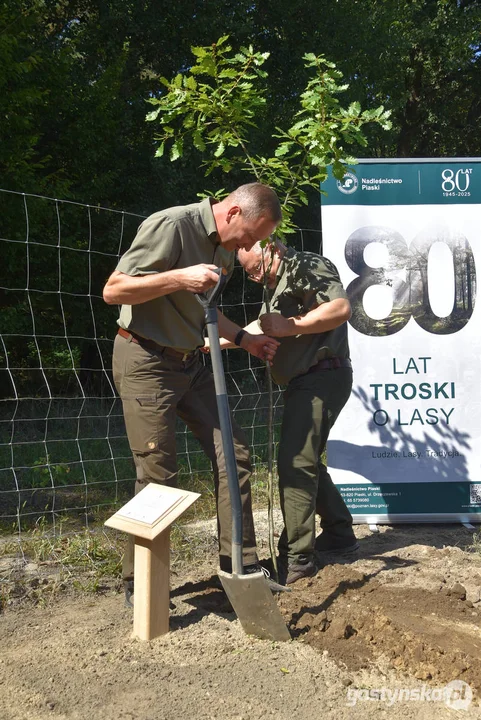 W Nadleśnictwie Piaski powstaje "Las dobry wspomnień"