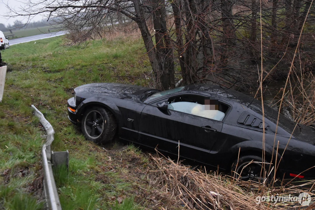 Mustang wpadł do stawu. Straż pożarna z Gostynia w akcji