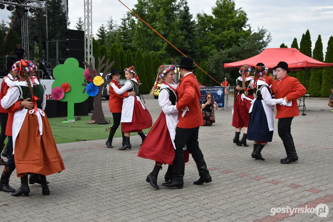 18. Prezentacje Zespołów Ludowych Wielkopolski w Borku Wlkp.