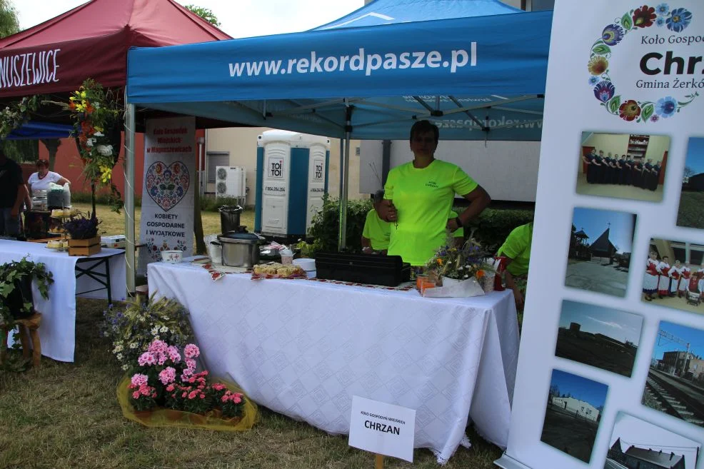 Piknik "Powitanie lata - z kulturą razem" i "Bitwa Regionów" w Kotlinie