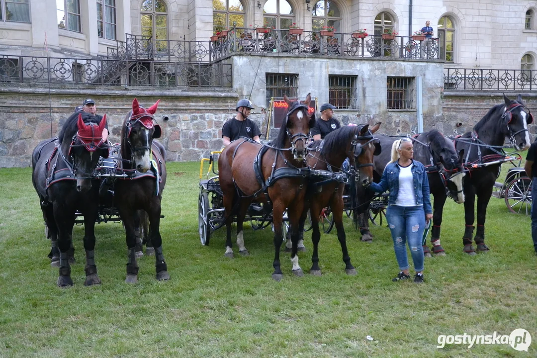 Rokosowo Horse Show 20224 - Konie i Powozy na Zamku Wielkopolskim w Rokosowie