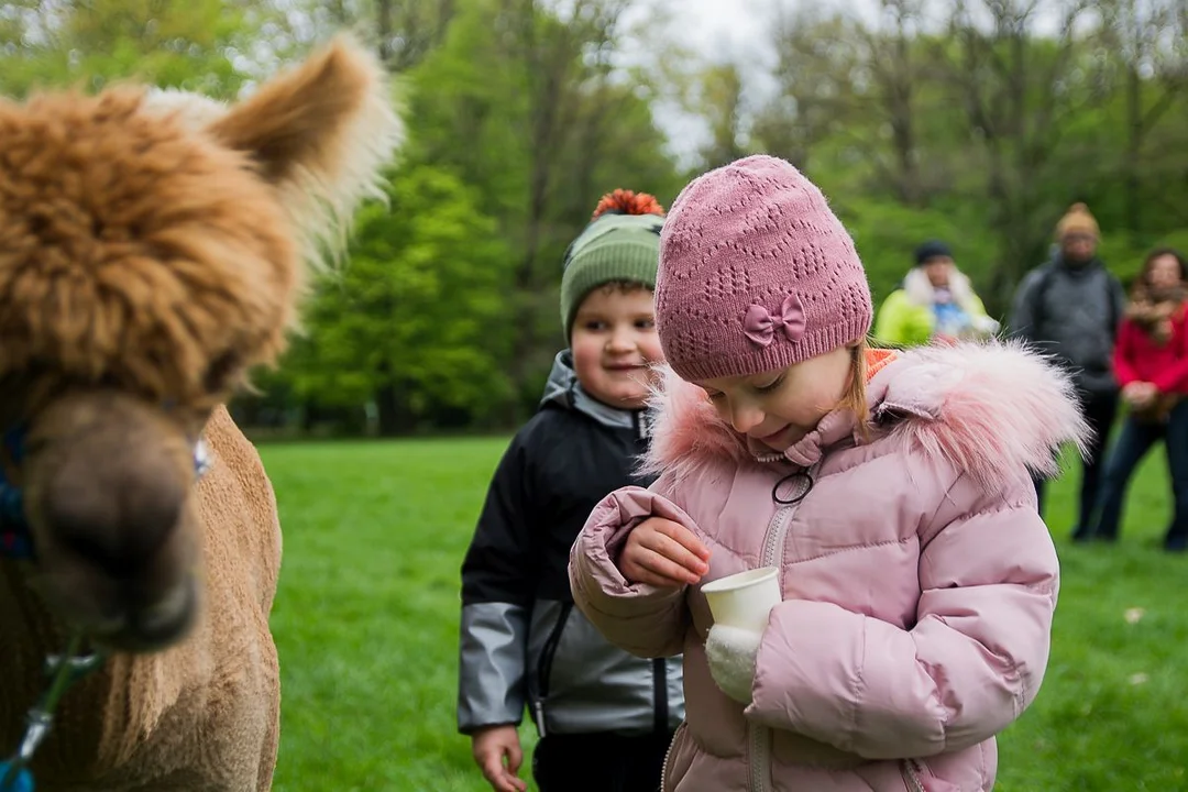 Festyn charytatywny dla Julii Banaszak z Jarocina i Michałka Jędrasiaka z Witaszyc