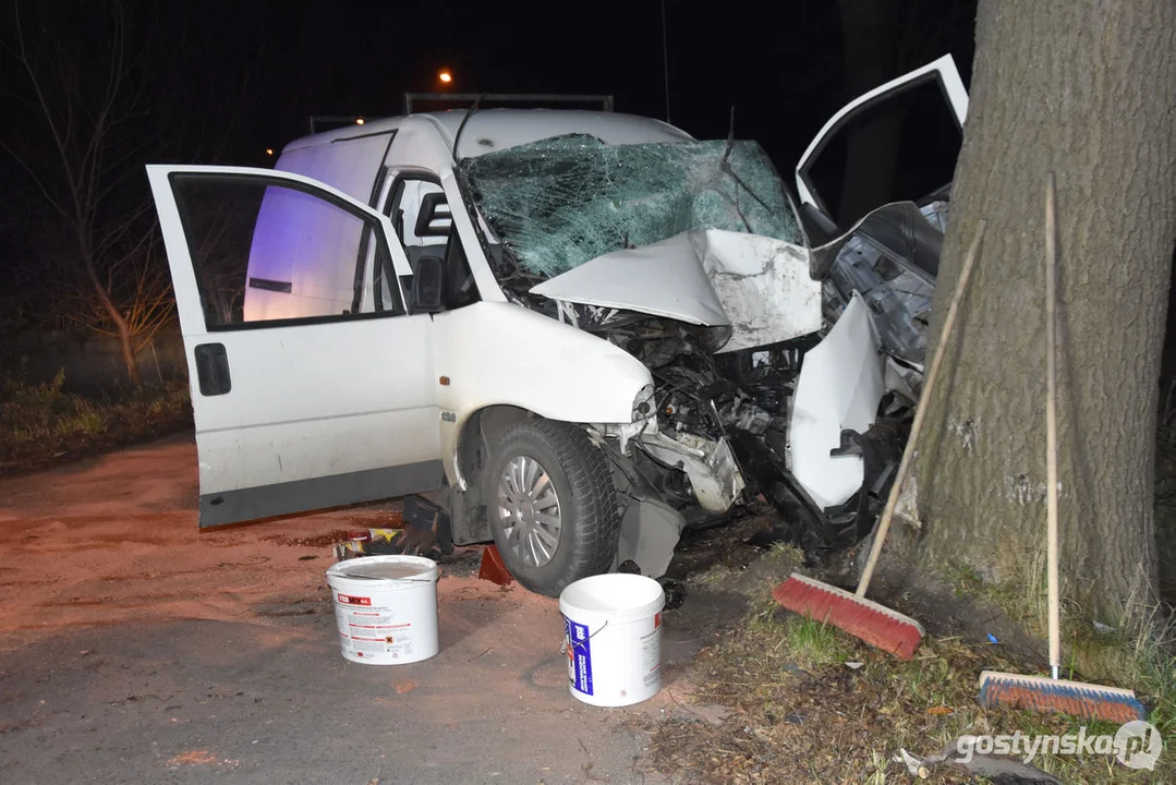 Czołówka z drzewem. Wypadek w Grodzisku (gm. Poniec)