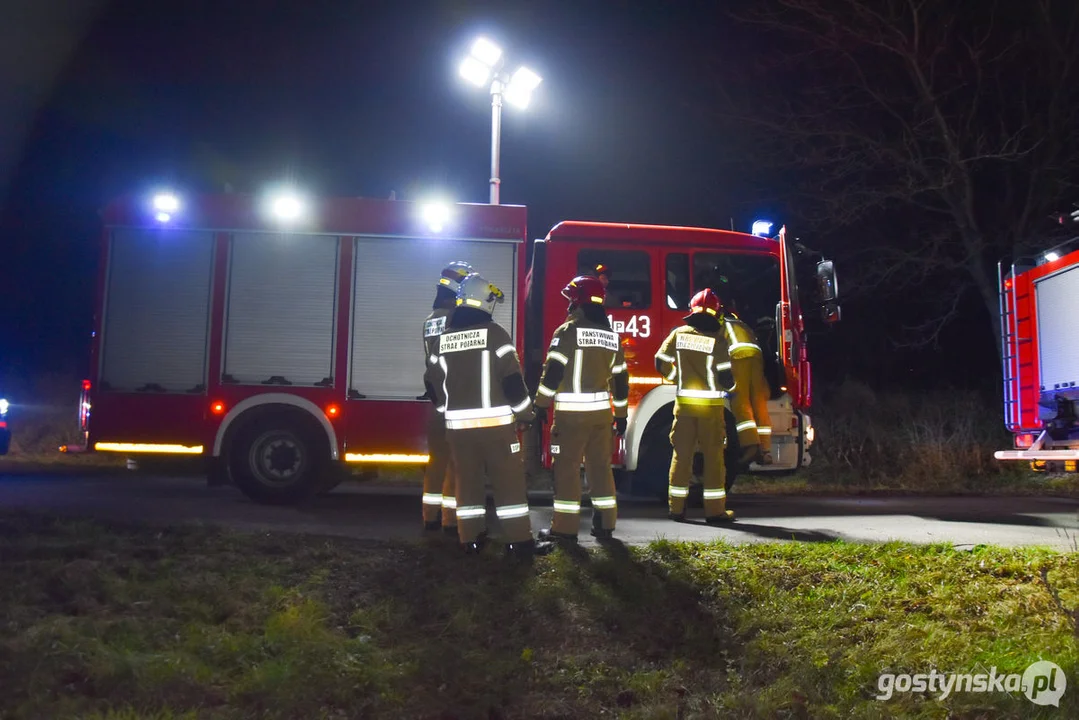 Czołówka z drzewem. Wypadek w Grodzisku (gm. Poniec)