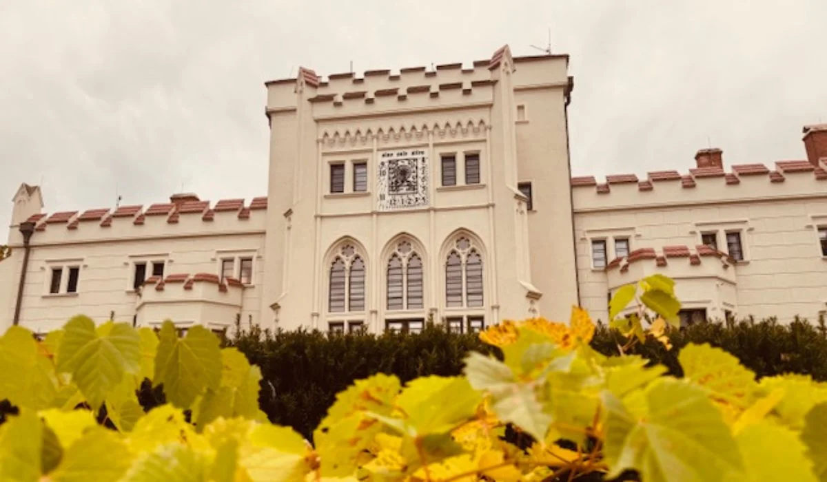 Pałac Radolińskich w Jarocinie od strony południowej