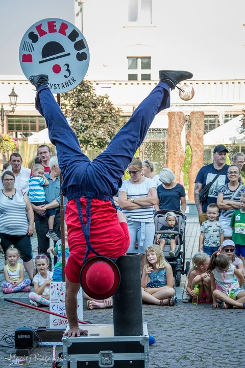 Festiwale Buskerbus w Krotoszynie