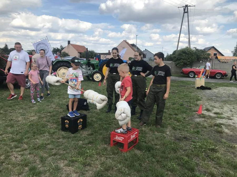 Festyn dla Michałka w Witaszycach