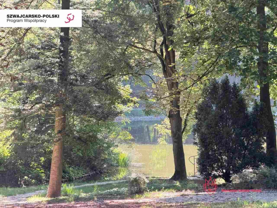 Park Miejski w Gnieźnie przed rewitalizacją (2026 r.)