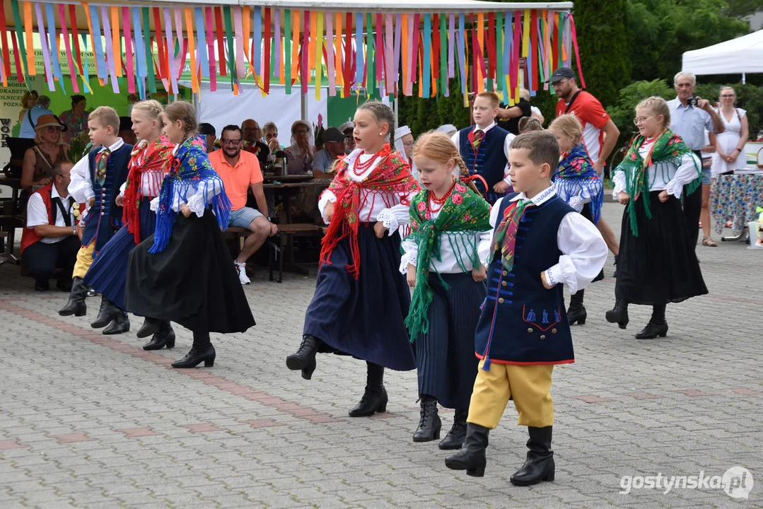 50-lecie działalności artystycznej Zespołu Regionalnego Borkowiaki