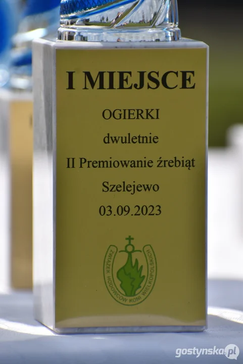 II premiowanie źrebiąt i wystawa koni w Szelejewie