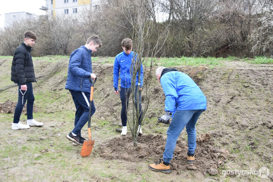 Sadzenie drzewek na 100-lecie Kani Gostyń