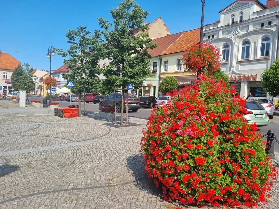 Zabierz kwiaty z pleszewskiego rynku do domu