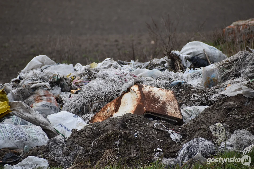 Ogromna hałda śmieci na polu w Żytowiecku