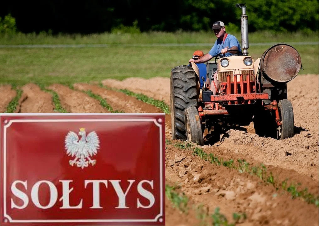 74 mln zł na dodatki dla sołtysów. Zobacz, jak wygląda wniosek, który trzeba wypełnić - Zdjęcie główne