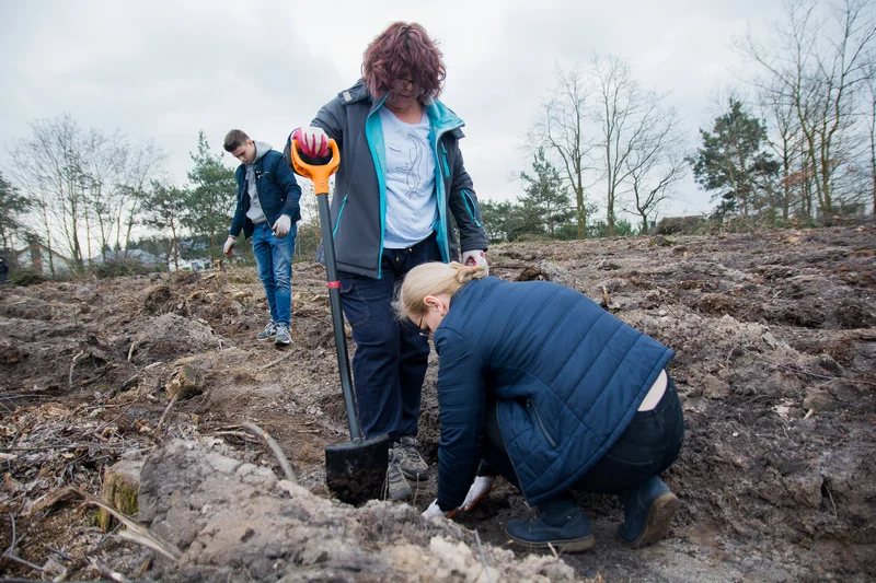 Dziennikarze jarocinska.pl i wolontariusze Fundacji Ogród Marzeń sadzili las w Roszkowie