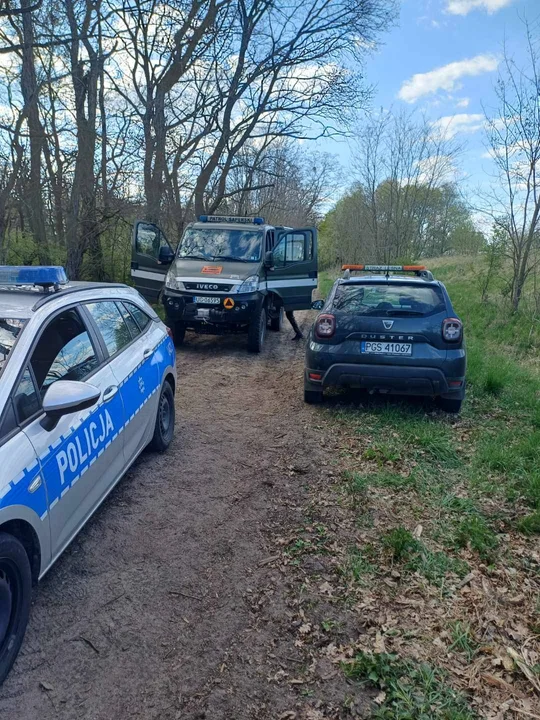 Podczas sadzenia lasu w Karcu leśnicy odkryli pocisk artyleryjski