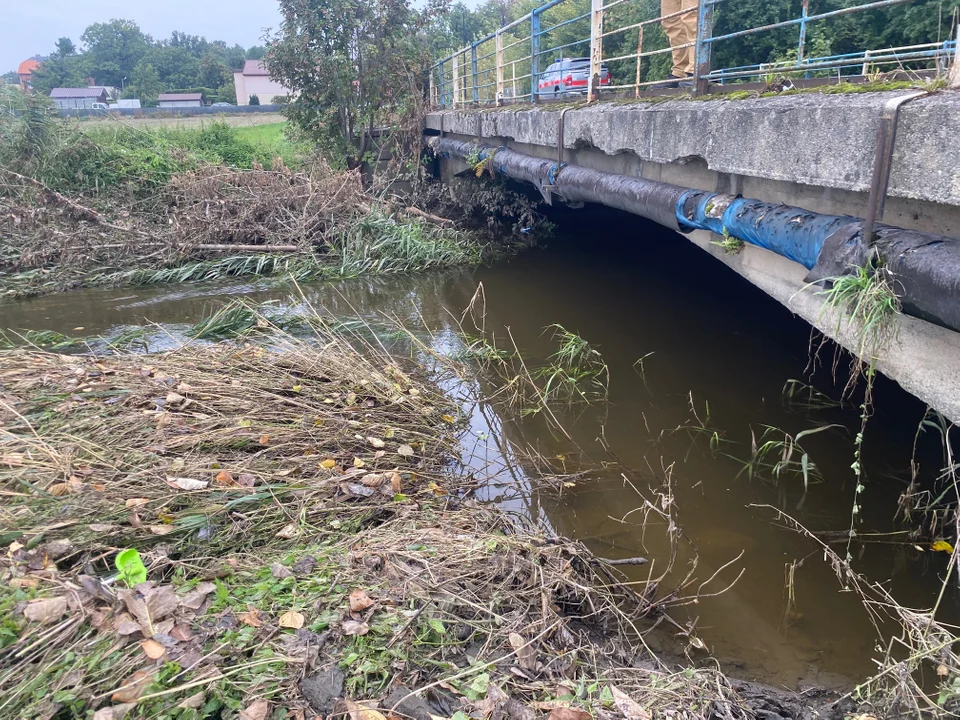 Sytuacja hydrologiczna w powiecie krotoszyńskim. Ocena strażaków [ZDJĘCIA] - Zdjęcie główne