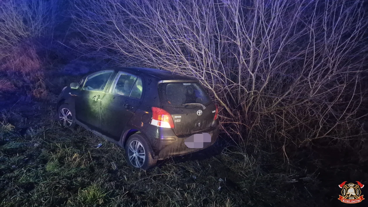 Kuklinów. Na drogę wybiegła sarna. Kierowca stracił panowanie nad samochodem [FOTO] - Zdjęcie główne