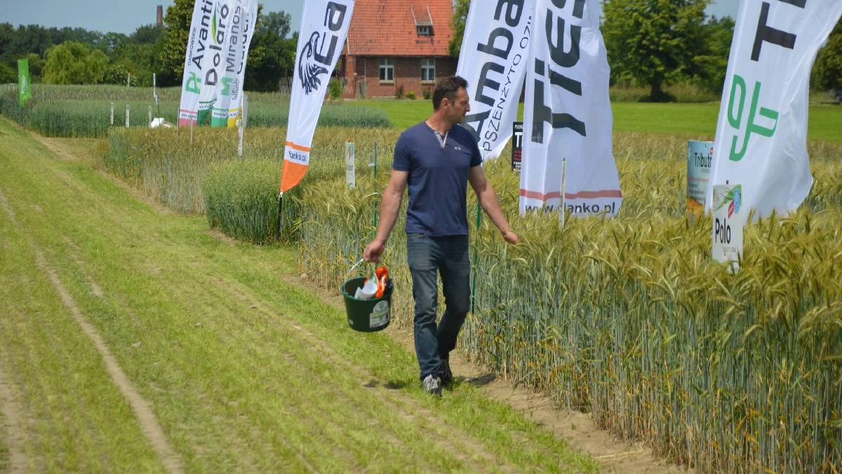 Dni Pola w Szelejewie 2025. "Warto stosować nowe odmiany zbóż, bo są zdrowsze" - Zdjęcie główne