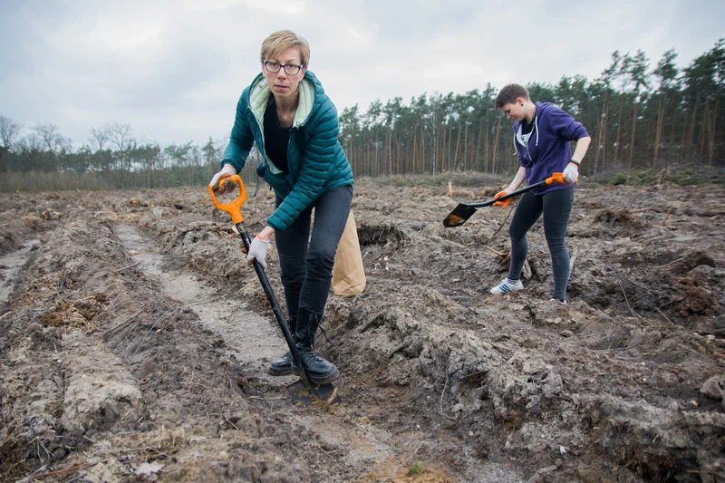 Dziennikarze jarocinska.pl i wolontariusze Fundacji Ogród Marzeń sadzili las w Roszkowie