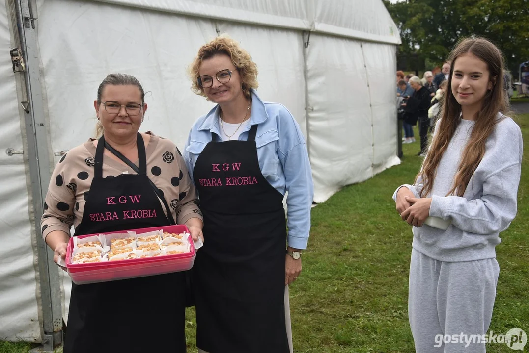 XIII Festiwal Tradycji i Folkloru w Domachowie 2025