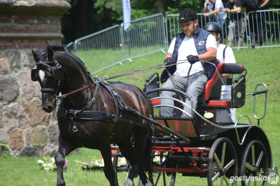 Rokosowo Horse Show 2024 - dzień pierwszy